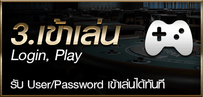 Service การดูแลและการบริการเสริม ทางเข้าเล่น